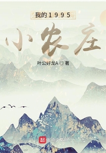 我的1995小农庄 小说