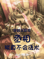 穿越汉献帝:丞相,朕真不会法术小说