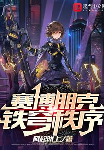 赛博朋克铁穹秩序txt