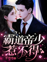 霸道帝少惹不得免费阅读全文