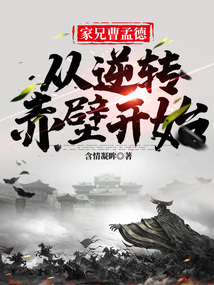 家兄曹孟德,从逆转赤壁开始 含情凝眸