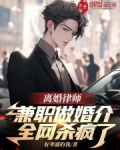 离婚律师兼职做婚介,全网杀疯了