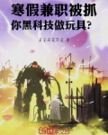 寒假兼职被抓:你黑科技做玩具?