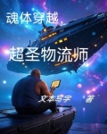 魂体穿越,超圣物流师